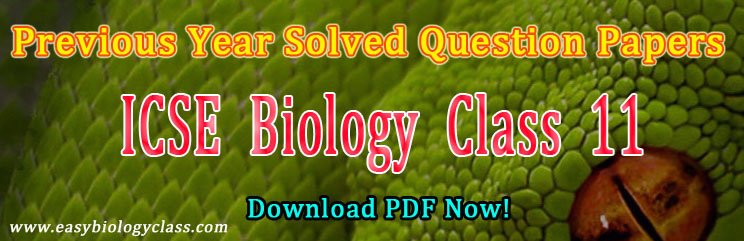 icse class 11 biology papers
