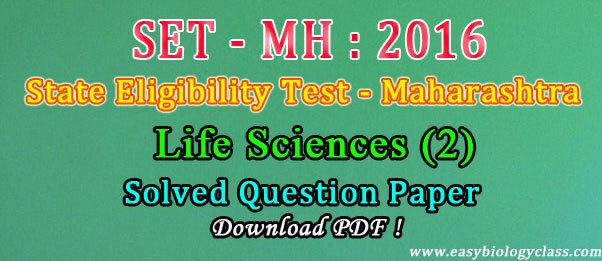 How to qualify MH SET Exam