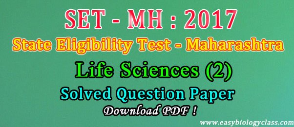 MH SET Old Question Papers