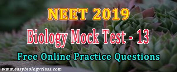 NEET Exam Model question paper