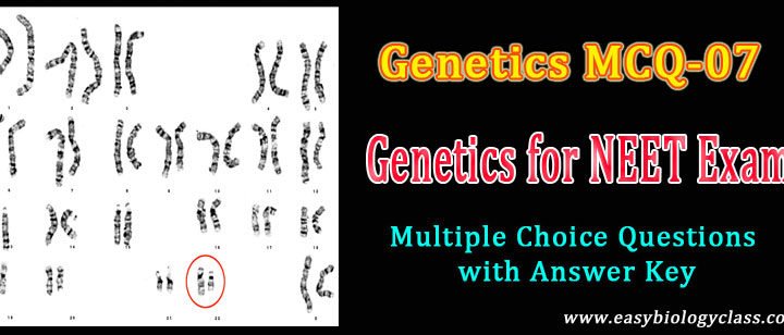 genetics quizzes