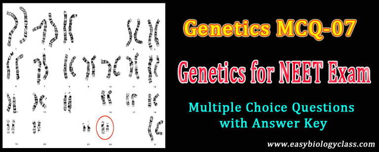 genetics quizzes