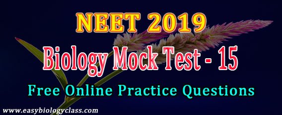 NEET 2019 Model Question Paper