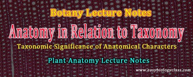 Use of Plant Anatomy in Taxonomy | EasyBiologyClass Use of Plant Anatomy in Taxonomy | EasyBiologyClass