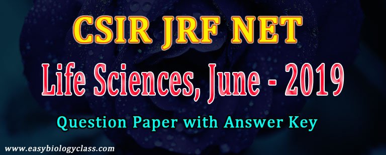 CSIR JRF June 2019 Official Answer Key
