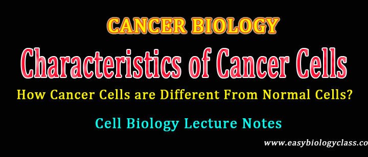 cancer cells properties