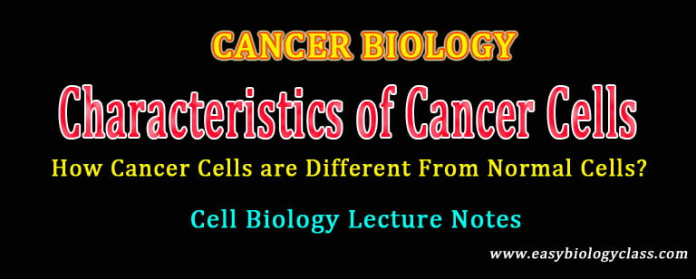 cancer cells properties