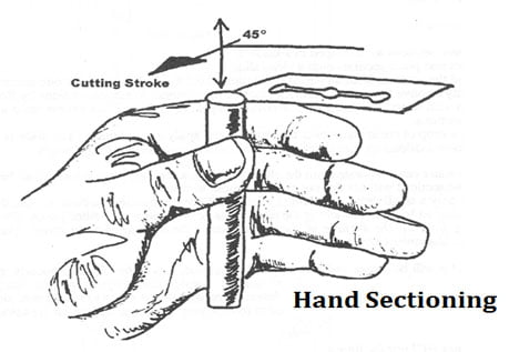 how to take hand section