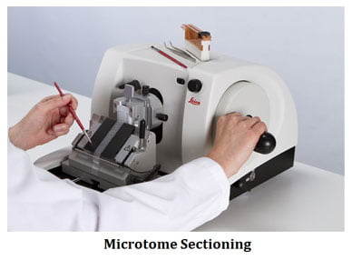 what is microtome