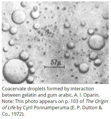 first formed coacervate