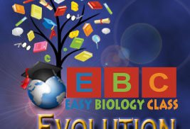 evolution tutorials by easybio