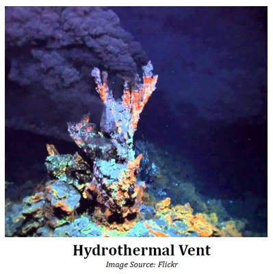 what is hydrothermal vent