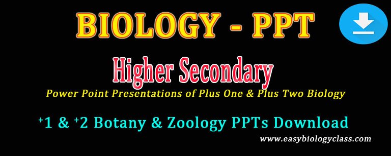 higher secondary botany zoology ppt