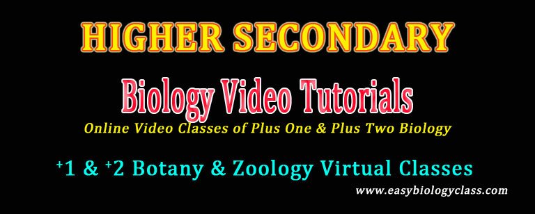 higher secondary biology virtual classes