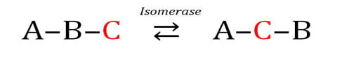 properties of isomerase