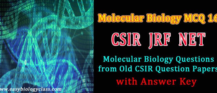 csir questions molecular biology