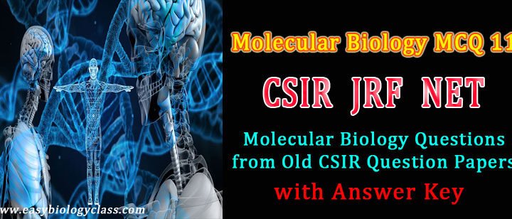 molecular biology for csir exam