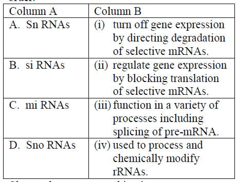 rna types in the cells