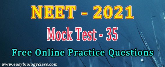 neet 2021 model question paper