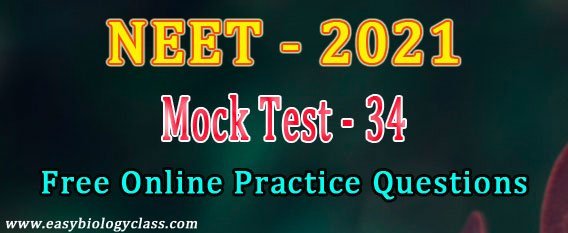 NEET 2021 model paper