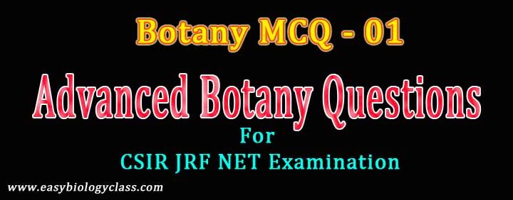 botany questions for csir exam