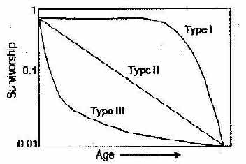 survivership curve