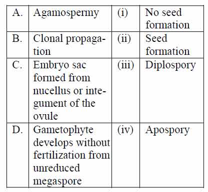 what is agamospermy
