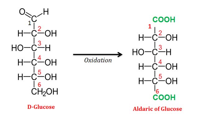 what is aldaric acid
