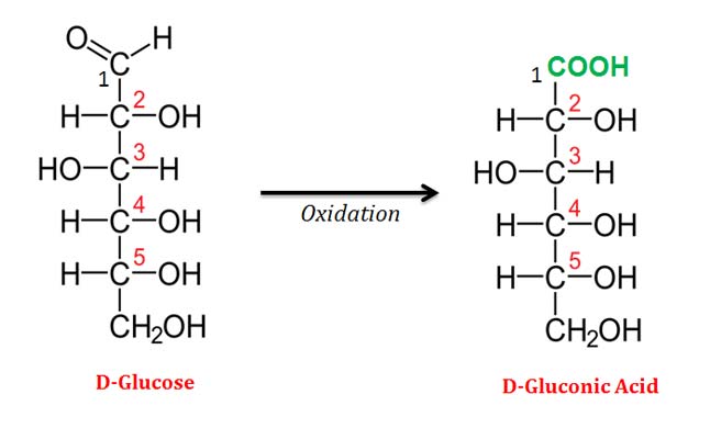 gluconic acid