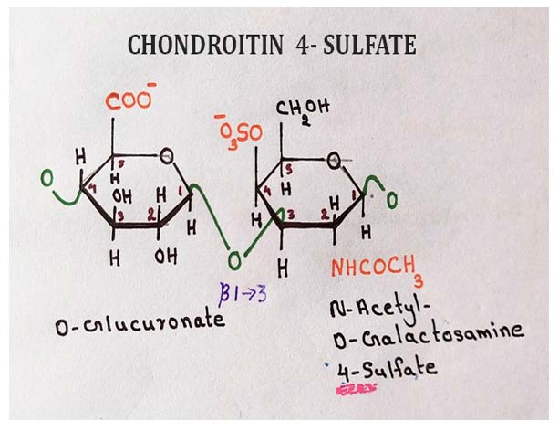 chondroitin-4-sulphate