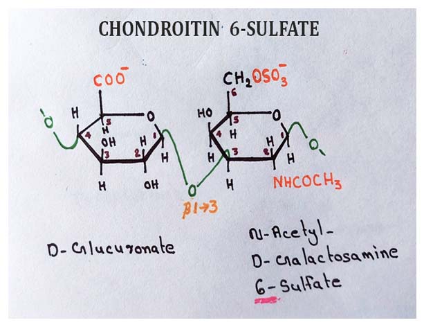 chondroitin-6-sulphate