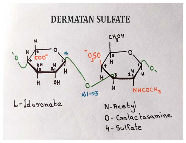 dermatan sulphate