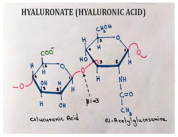hyaluronate uses