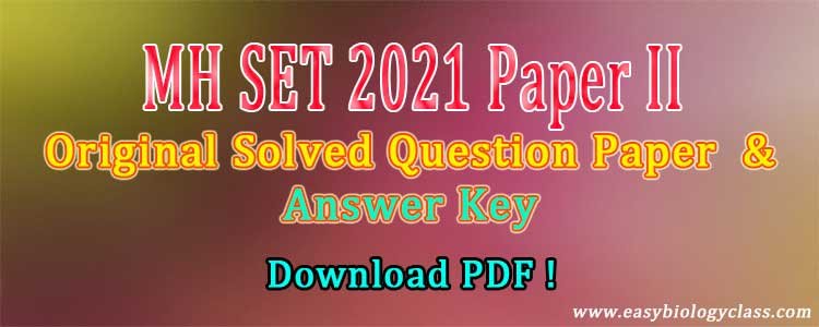 Set exam question papers with answers pdf deals