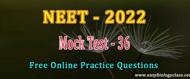 neet-2022-model-question-paper