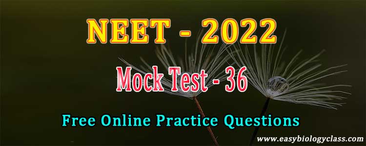 neet-2022-mock-test