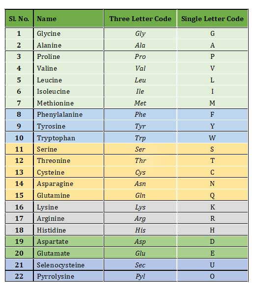 list of 22 amino acids