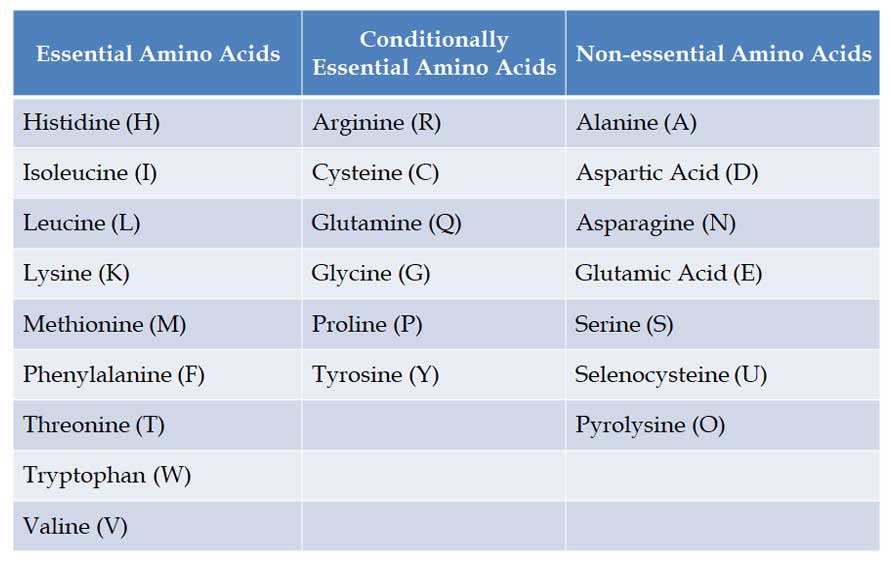 list of essential amino acids