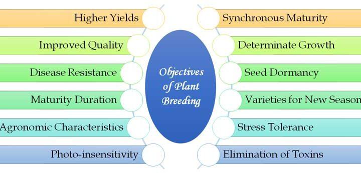 importance of plant breeding