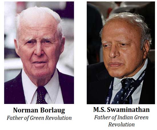 Indian father of green revolution