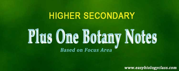 plus one botany focus area notes