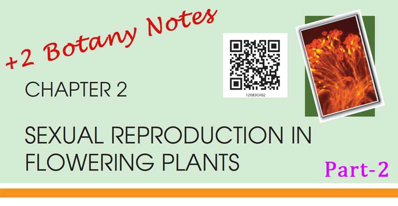 Plus Two Botany Notes Sexual Reproduction in Plants