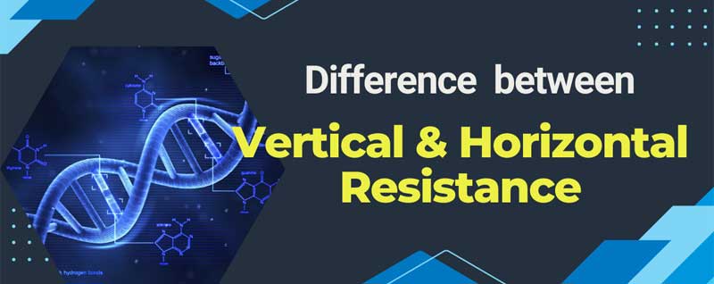 Difference between Vertical and Horizontal Resistance