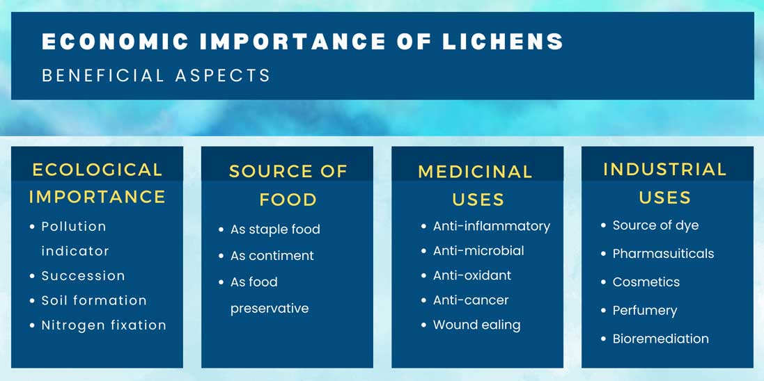 economic importance of lichens