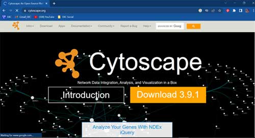 features of Cytoscape