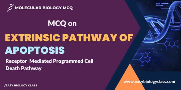 MCQ on Extrinsic Pathway of Apoptosis (Programmed Cell Death)