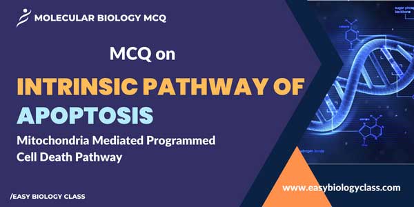 MCQ on Intrinsic Pathway of Apoptosis (Programmed Cell Death)