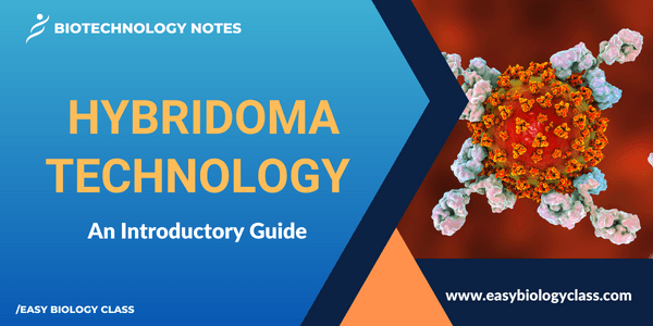 Basics of Hybridoma Technology: An Introductory Guide