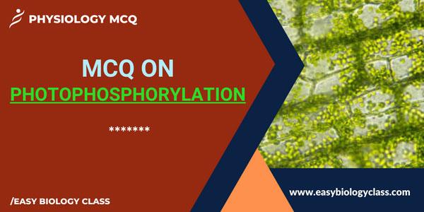 MCQ on Photophosphorylation