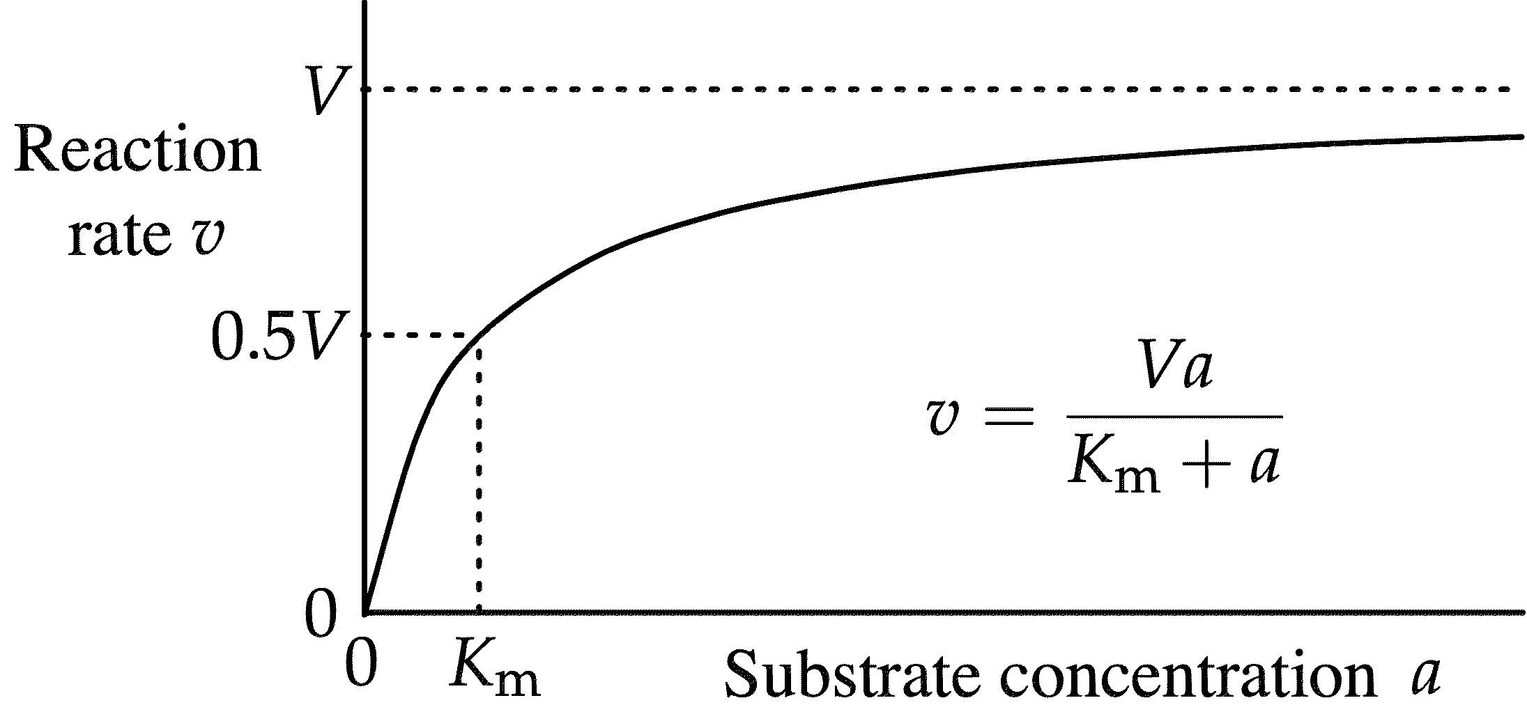 What is Km in Enzyme Kinetics
